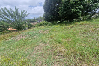 achat terrain francois 97240