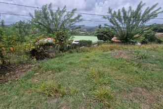 achat terrain francois 97240