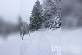 achat terrain fresse-sur-moselle 88160
