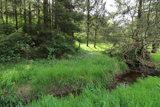 achat terrain frohmuhl 67290