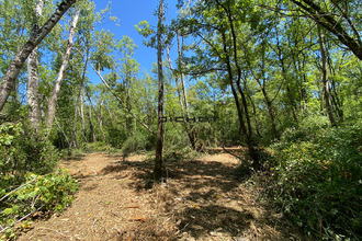 achat terrain fronsac 33126