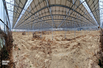 achat terrain fronton 31620