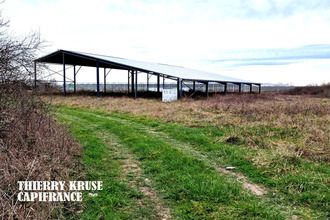 achat terrain fronton 31620