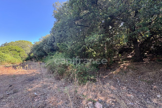 achat terrain galeria 20245