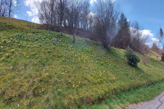 achat terrain gerardmer 88400