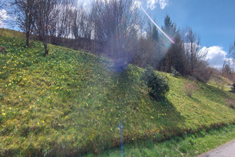 achat terrain gerardmer 88400