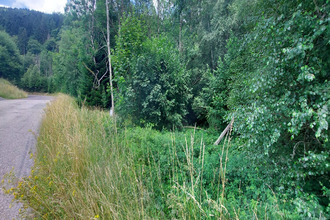 achat terrain gerardmer 88400