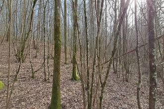 achat terrain gernelle 08440