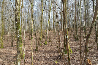 achat terrain gernelle 08440