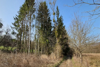 achat terrain gernelle 08440