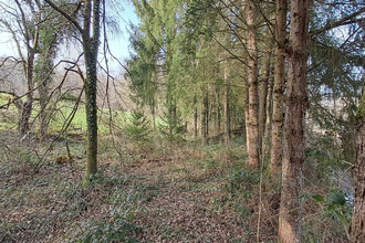 achat terrain gernelle 08440