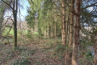 achat terrain gernelle 08440