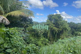 achat terrain gosier 97190