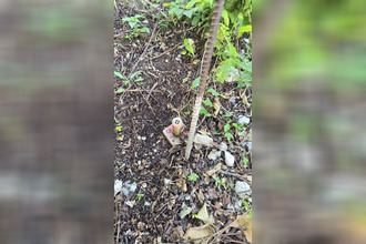 achat terrain gosier 97190