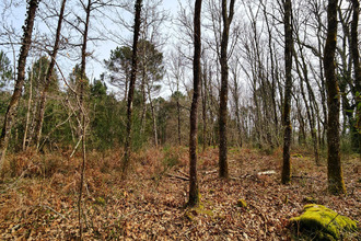 achat terrain gourbera 40990