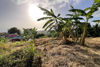 achat terrain gourbeyre 97113