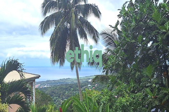 achat terrain gourbeyre 97113