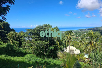 achat terrain gourbeyre 97113