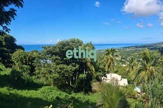 achat terrain gourbeyre 97113