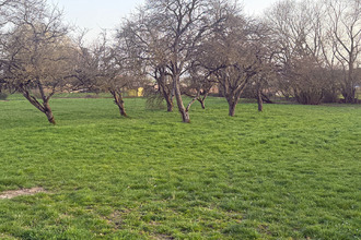 achat terrain goviller 54330