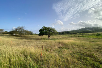 achat terrain grand-bg 97112