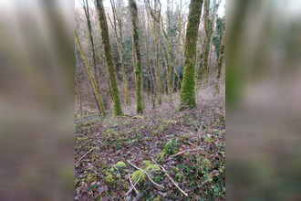 achat terrain grange-de-vaivre 39600