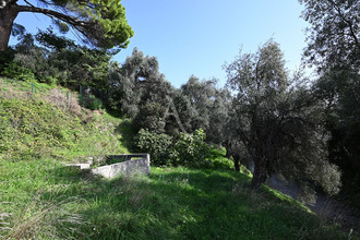 achat terrain grasse 06520