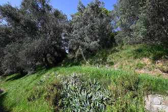achat terrain grasse 06520