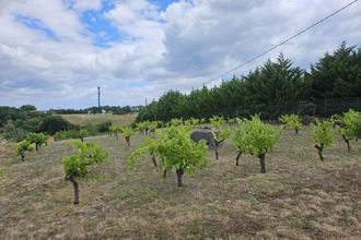 achat terrain graulhet 81300