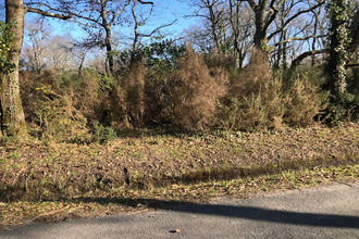 achat terrain grayan-et-l-hopital 33590