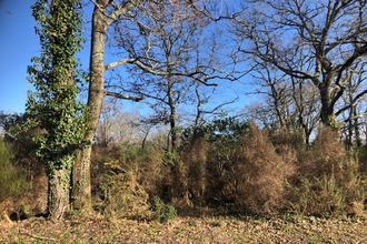 achat terrain grayan-et-l-hopital 33590