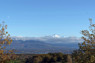 achat terrain grilly 01220