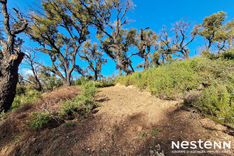 achat terrain grimaud 83310