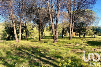 achat terrain grimaud 83310
