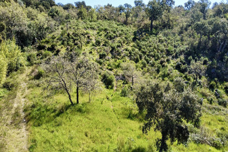 achat terrain grimaud 83310