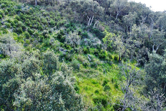 achat terrain grimaud 83310