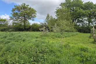 achat terrain grosbreuil 85440