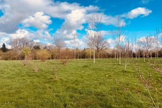 achat terrain grosbreuil 85440