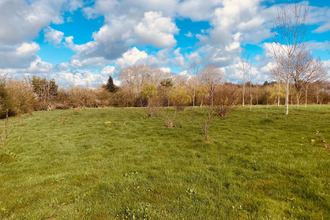 achat terrain grosbreuil 85440
