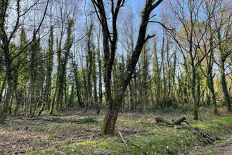 achat terrain guer 56380