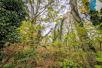 achat terrain guer 56380