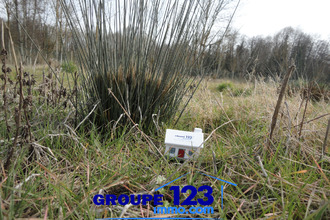 achat terrain guerchy 89113