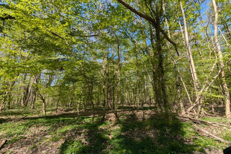 achat terrain guignes 77390