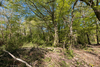 achat terrain guignes 77390