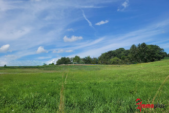 achat terrain hagenthal-le-bas 68220