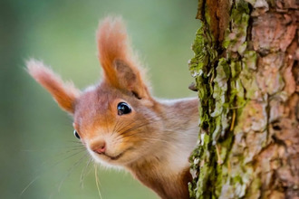 achat terrain herblay 95220