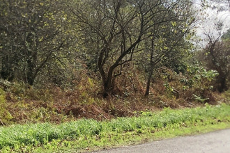 achat terrain herm 40990