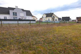 achat terrain hirtzfelden 68740