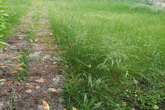 achat terrain hoerdt 67720