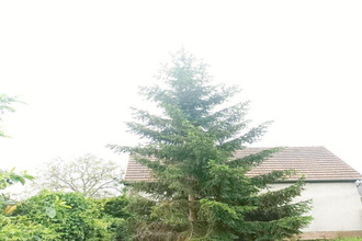 achat terrain hoerdt 67720